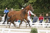 <b>Nr. 6 - Volition e. Temptation</b>