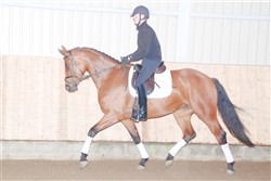 <b>Treldegårds Silje og Martin Klavsen (arkivfoto)</b>
