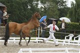 <b>Sjovt at komme i byen</b>