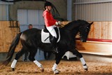De Nightron e. De Noir / Don Shufro. Redet af Camilla Neergaard
