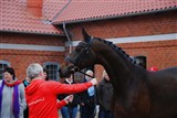 Hoppe e. De Noir/Frügling