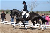 De Nightron e. De Noir/ B. H. Don Shufro. Redet af Anna Carina Pedersen