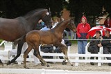 <b>Nr.2 - Tiko e. Temptation</b>