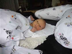 <b>Mini Katrinelund</b>