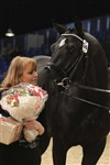 Trine og Tailormade Attention